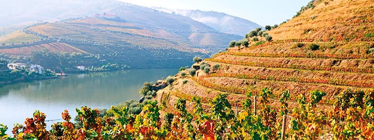 Autumnal vineyards line the Douro River in the Douro Valley, Portugal